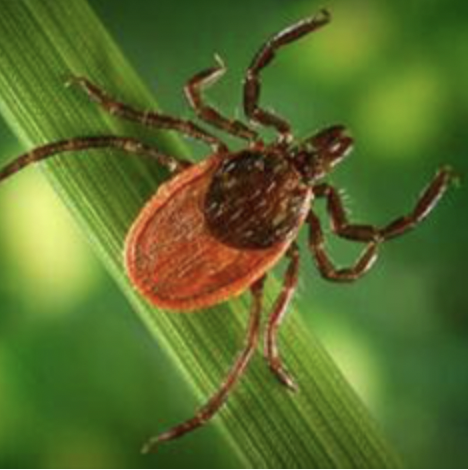 When Life Turns Upside&nbsp;Down